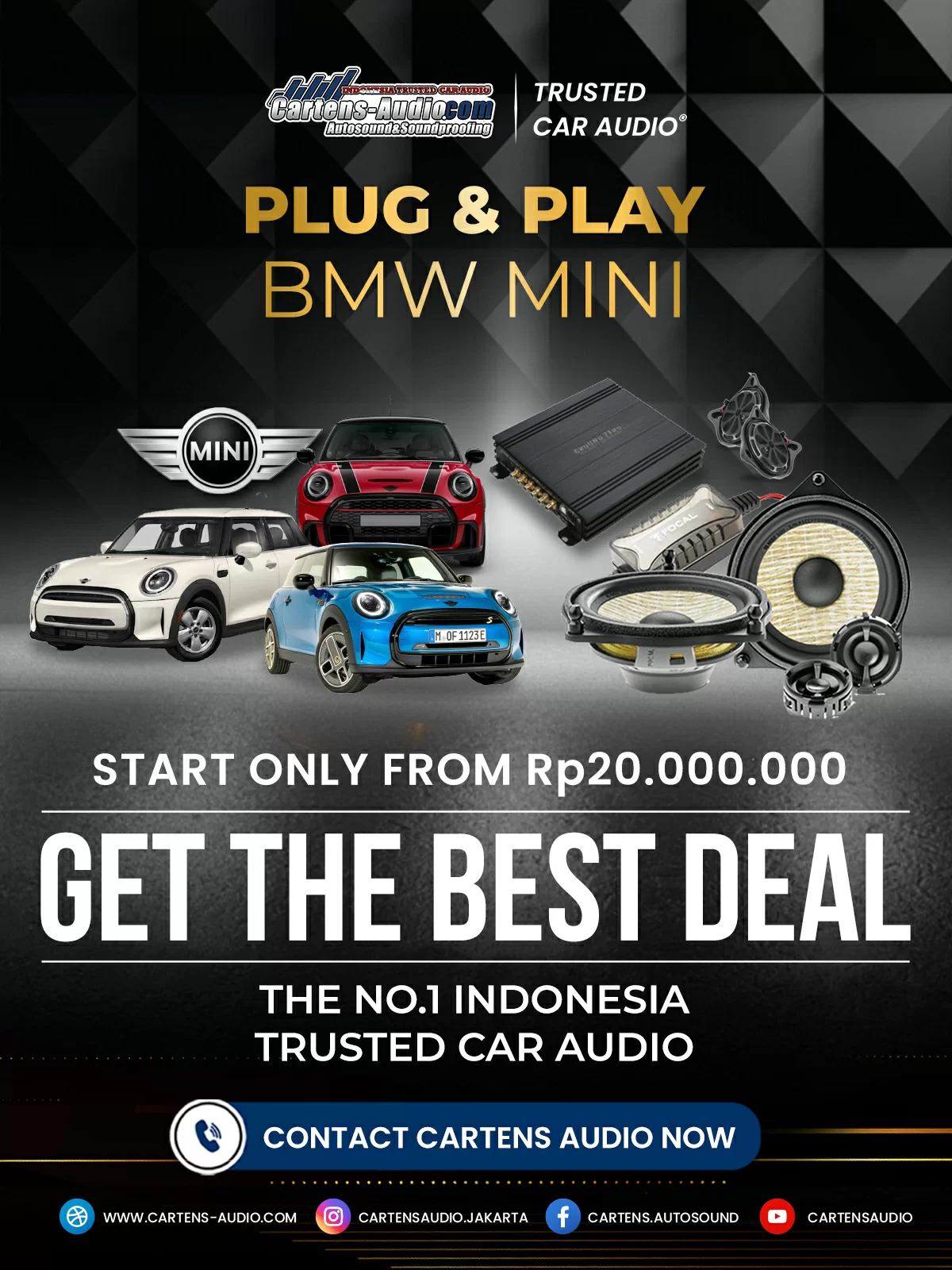 PACKAGE PLUG & PLAY - BWM MINI